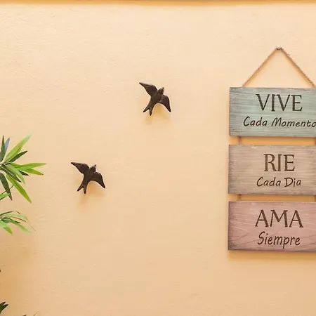 Casa Da Vakantiehuis Ribeira de Pena